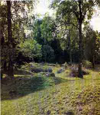 Naturreservat Strängnäs stift, Nibble ängsbackar.