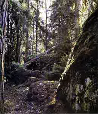 Naturreservat Strängnäs stift, Slesshagsberget.