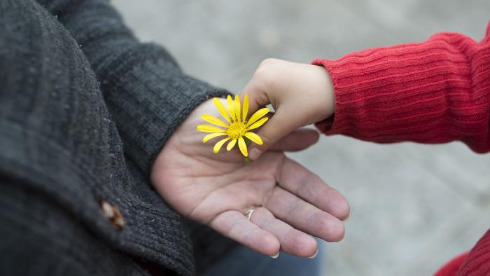 Litet barn lägger gul blomma i en vuxen kvinnas hand.