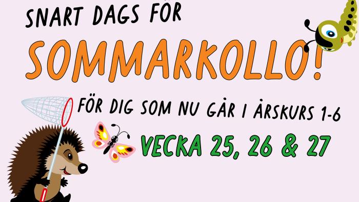 Snart dags för sommarkollo!