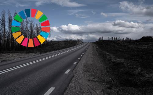 Kalhygge längs en landsväg. Till vänster i bilden syns loggan för Agenda 2030.