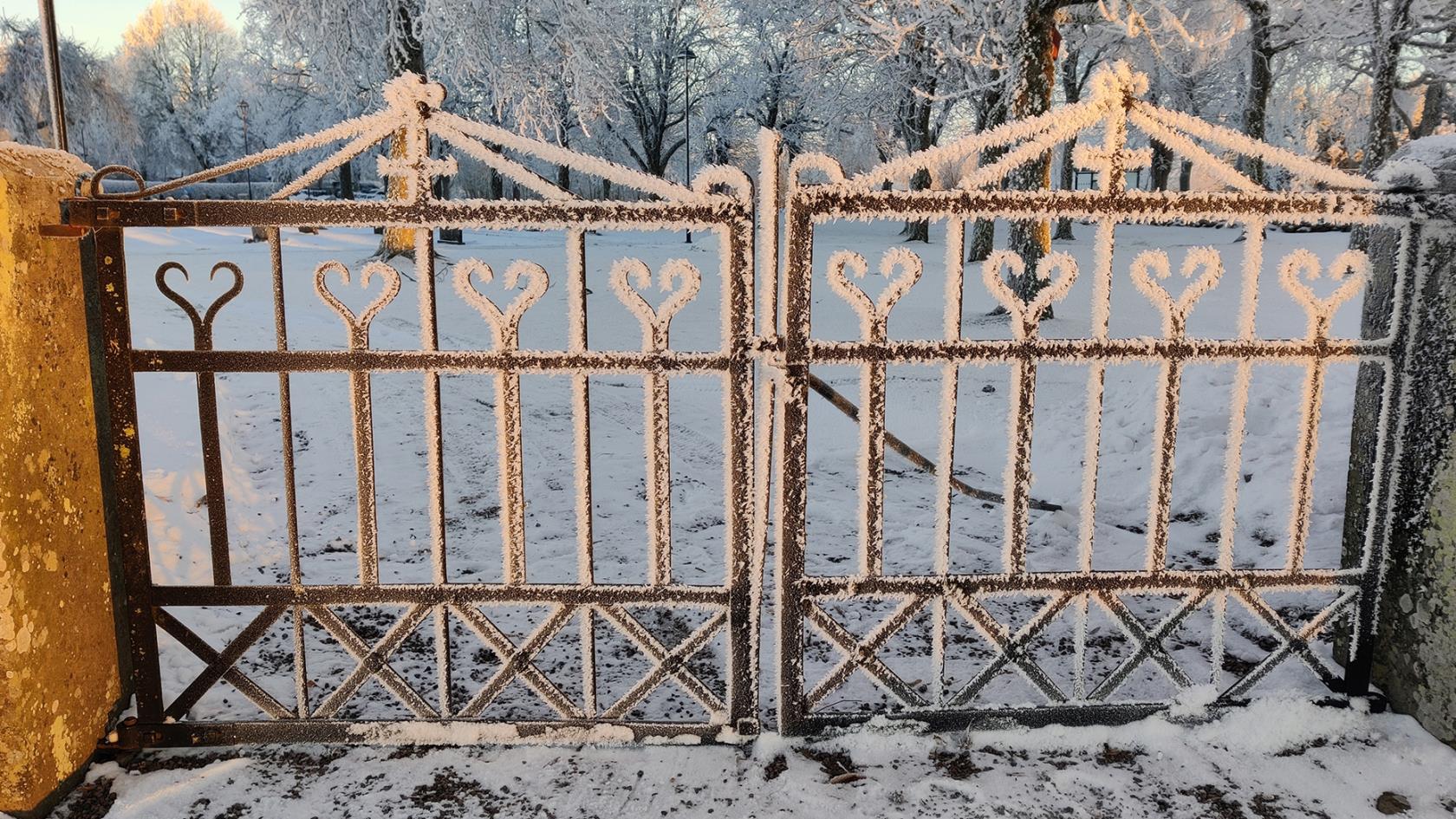 Kyrkgrind vid Skalunda kyrka där snön frusit till vackra kristeller