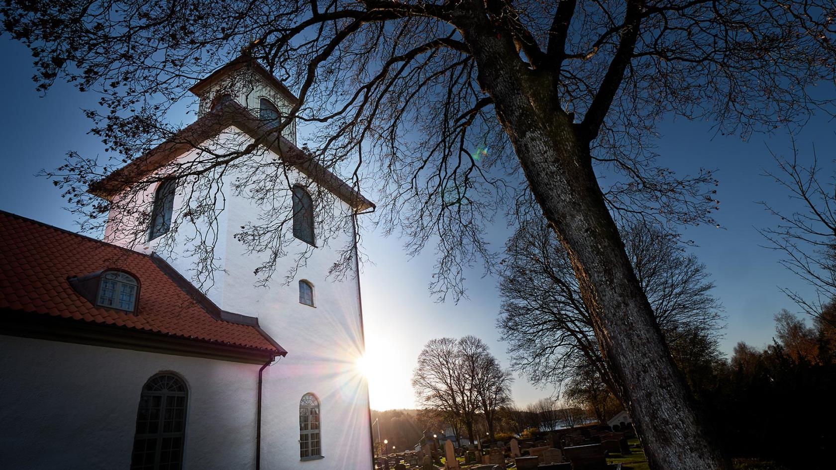 En vitkalkad 1830-talskyrka. Fotad i motljus. Ett träd till höger i bild.