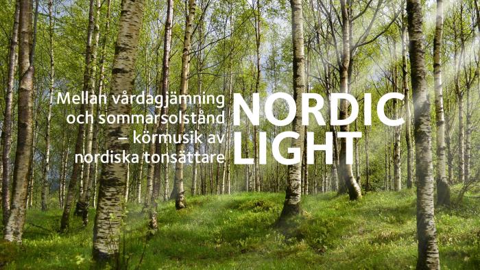 Björkar i vårljus med information om konserten Nordic light.