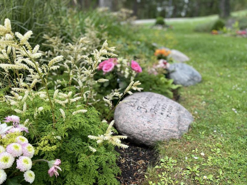 Sten inbäddad i grönska på askravplats.