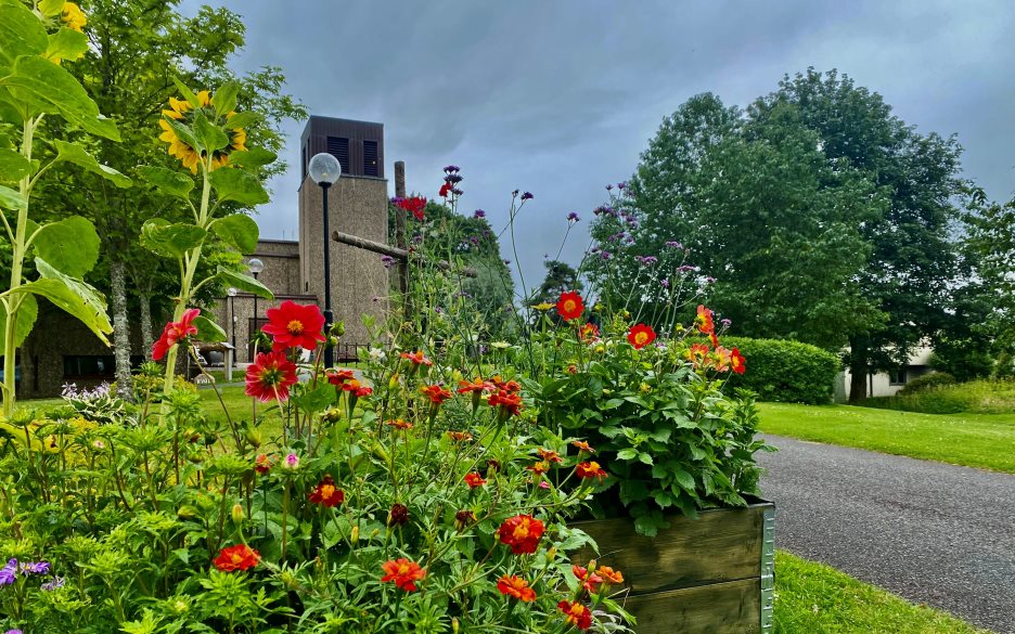 Blommor och kors framför Vaggeryds kyrka.