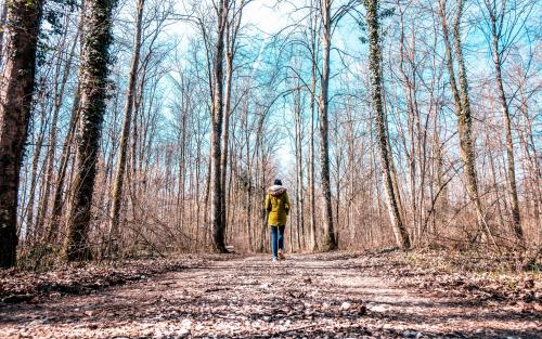 En kvinna går längs en skogsstig, framåt, bort från kameran. Träden har tappat sina löv och himlen är blå.