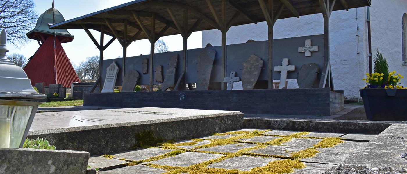 Bergums kyrkogård, lapidariets gamla gravstenar uppställda under tak  med kyrkan i bakgrunden