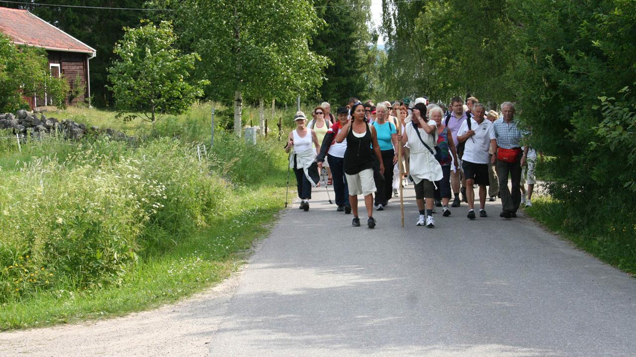 Pilgrimsvandrare längs en väg omgiven av sommargrönska