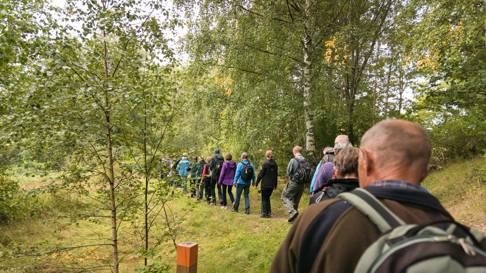 Ett led människor går på en stig bland lövträd.