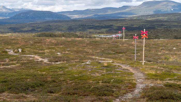 En vandringsled på fjället.