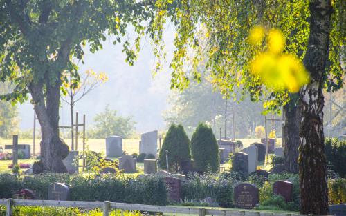 En kyrkogård i solsken.