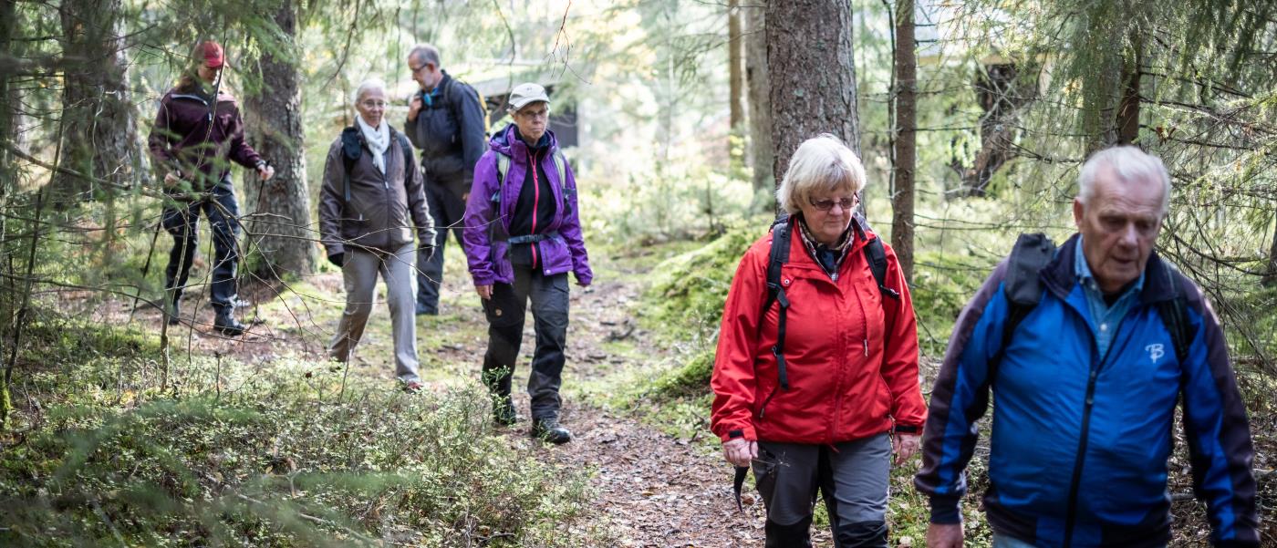 En grupp människor vandrar på led längs en stig genom skogen.