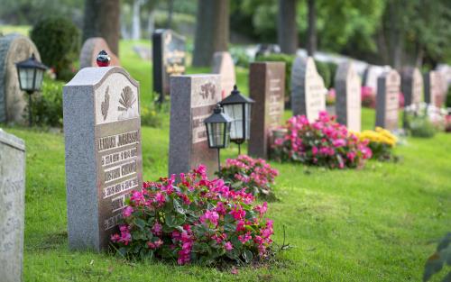 Gravar dekorerade med färggranna blommor på en kyrkogård.