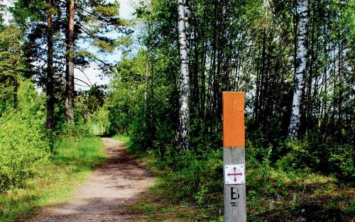 Bredvid stigen i skogen sitter en pinne med markeringen för pilgrimsled.