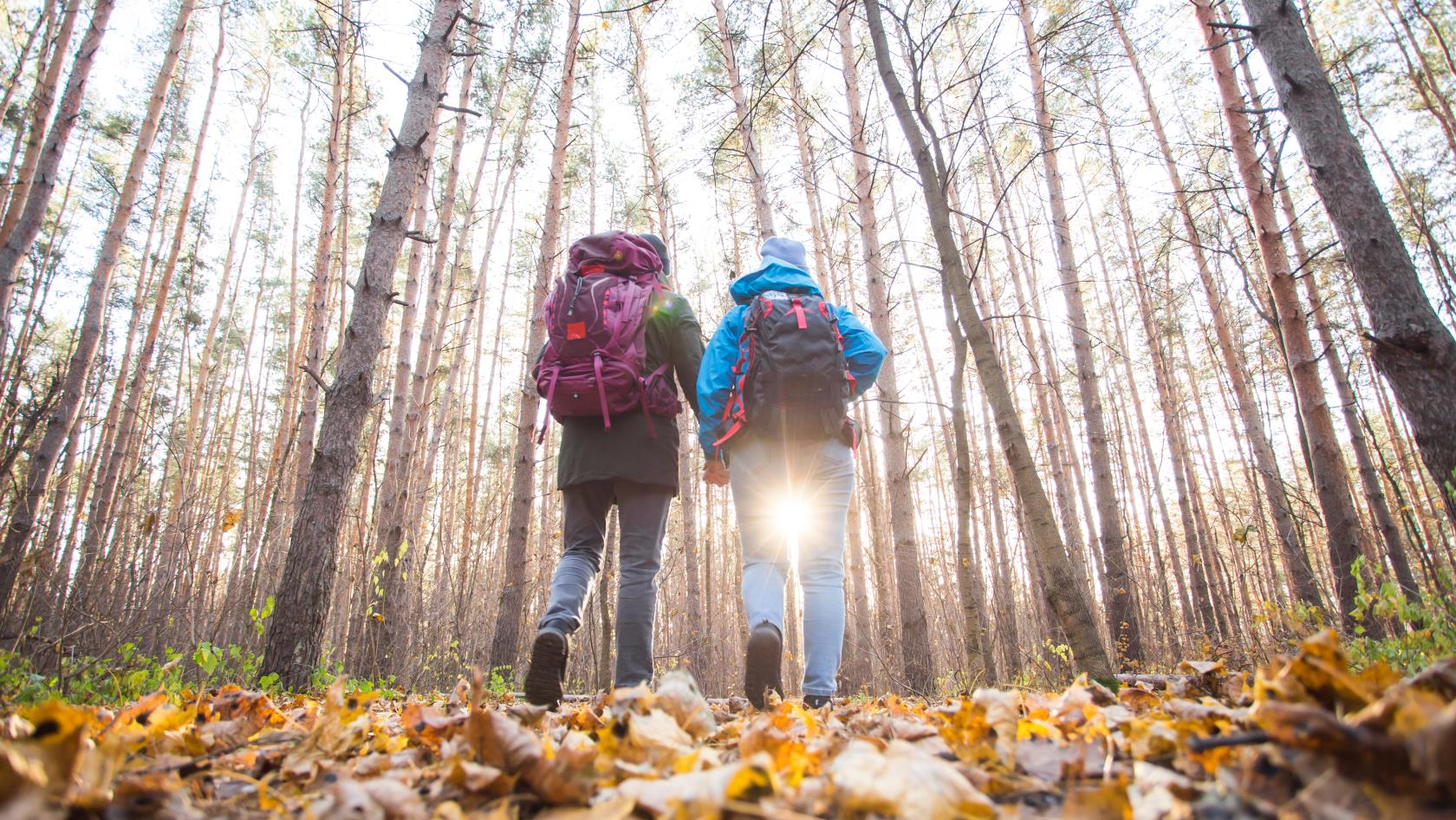 Två personer med ryggsäckar promenerar i en skog fylld med höstlöv på marken.