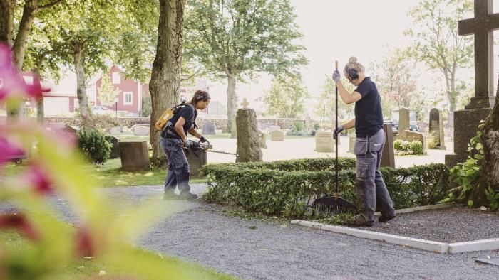Två kyrkogårdsarbetare trimmar buskarna runt en grav.