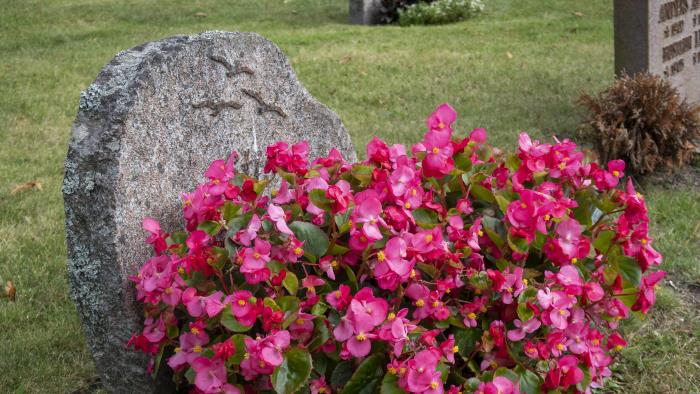 Ett stort fång med rosa blommor vid en gravsten.