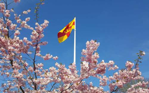 Svenska kyrkans flagga vajar i vinden en vacker vårdag.