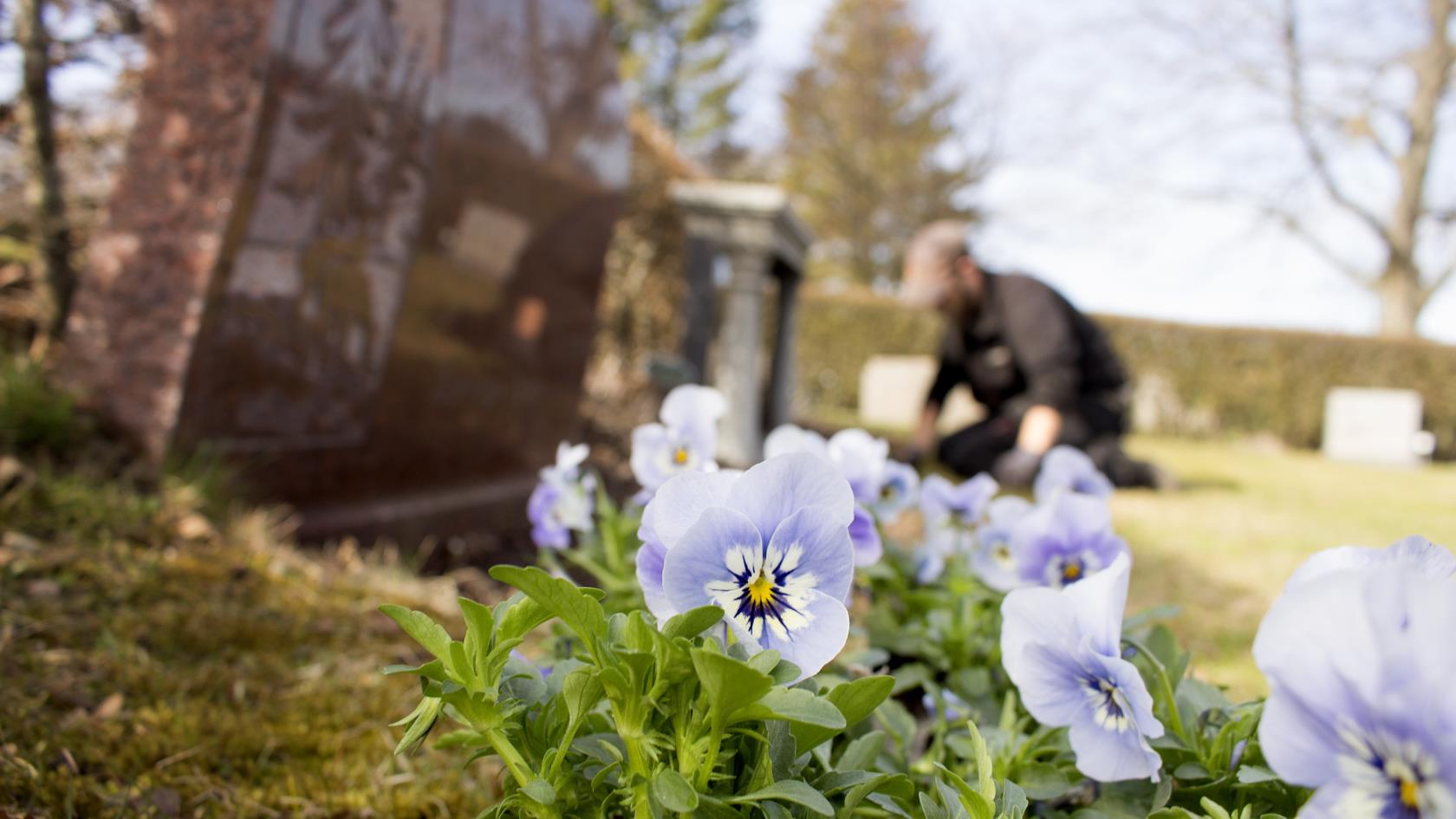 Älvestad kyrka i Fornåsa församling