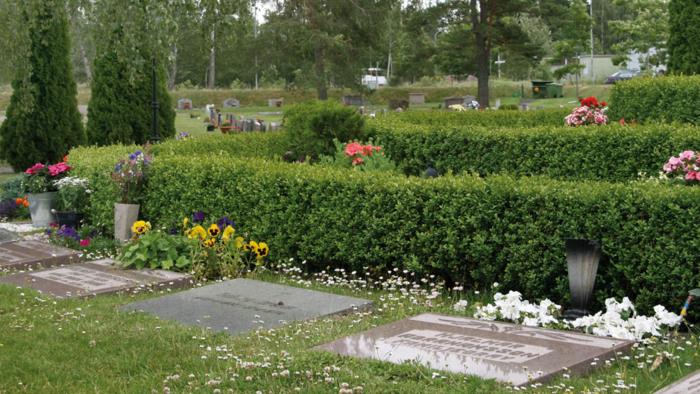 Några gravar på Norra kyrkogården med liggande gravsten, gravarna är så kallade kistgravar, bakom gravstenarna går en låg häck med blommor på och runt omkring syns träd och buskar.