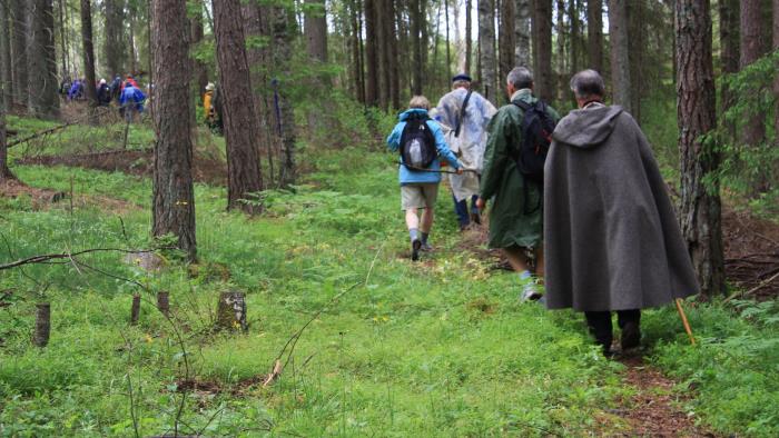 Pilgrimsvandrare i skog