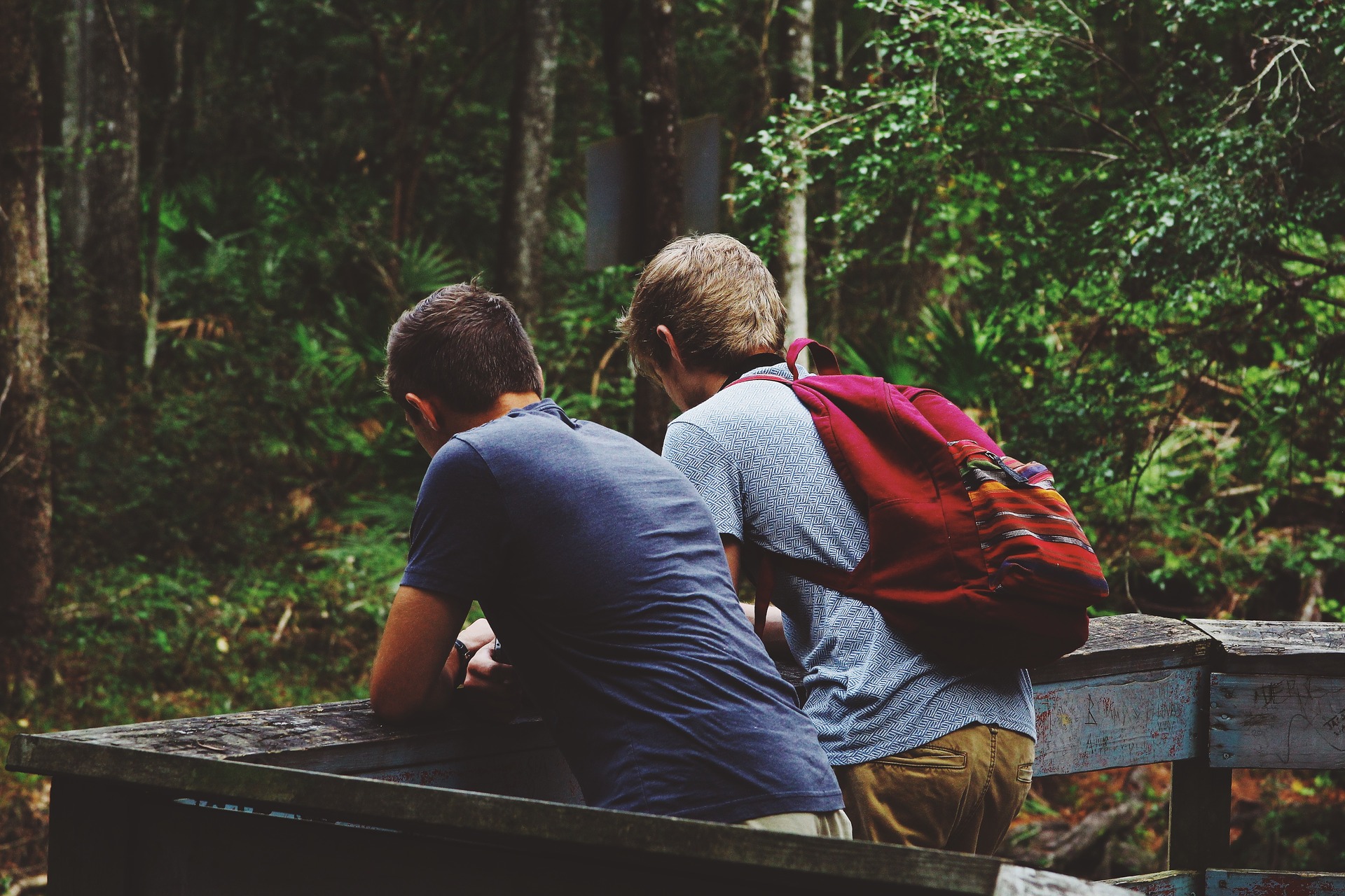 Två tonårskillar syns bakifrån när de lutar sig mot ett räcke i skogen. 