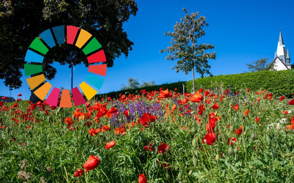 Vallmofält med kyrktorn i bakgrunden. Till vänster i bilden syns loggan för Agenda 2030.