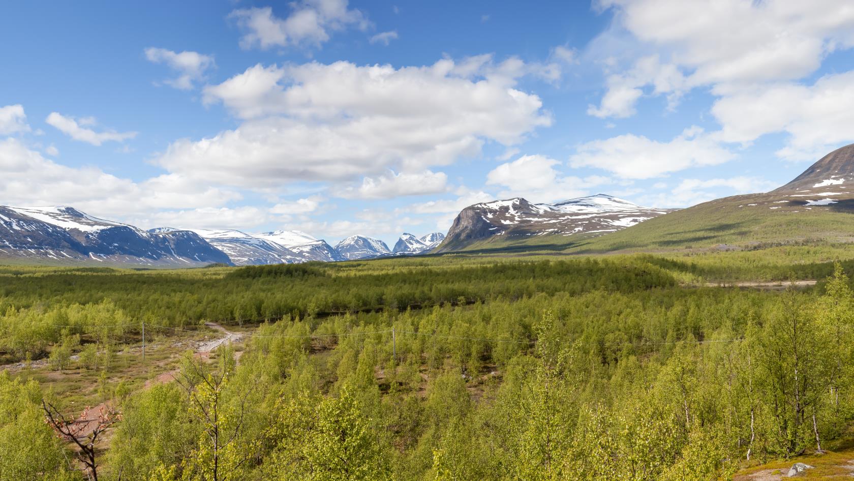 Fjällandskap i grönska. Bergstoppar i bakgrunden.