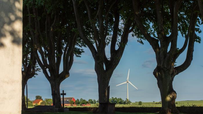 På kyrkogården, längs en gammal mur växer stora knotiga träd. Längre bort syns ett vindkraftverk.