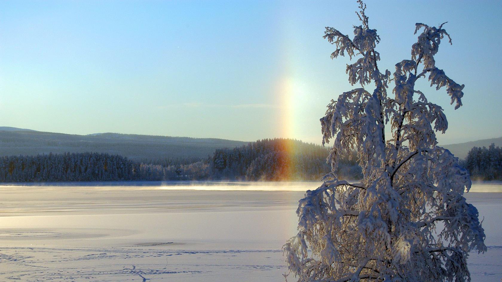 En frusen sjö och ett snöklätt träd i ett kallt men soligt Jämtland