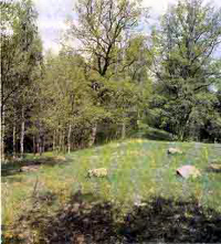 Naturreservat Strängnäs stift, Lundby äng.