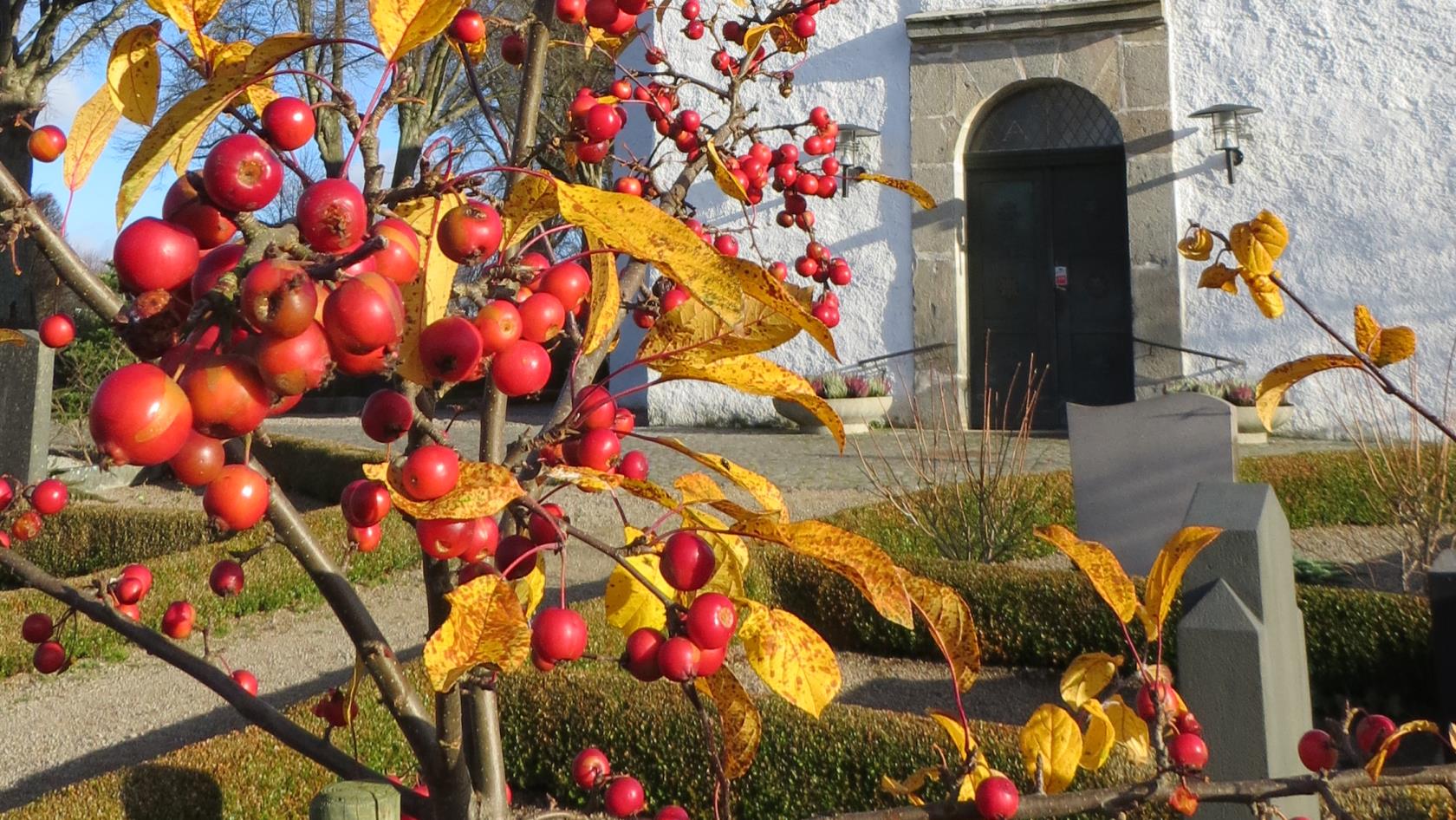 Mörrums kyrka höst