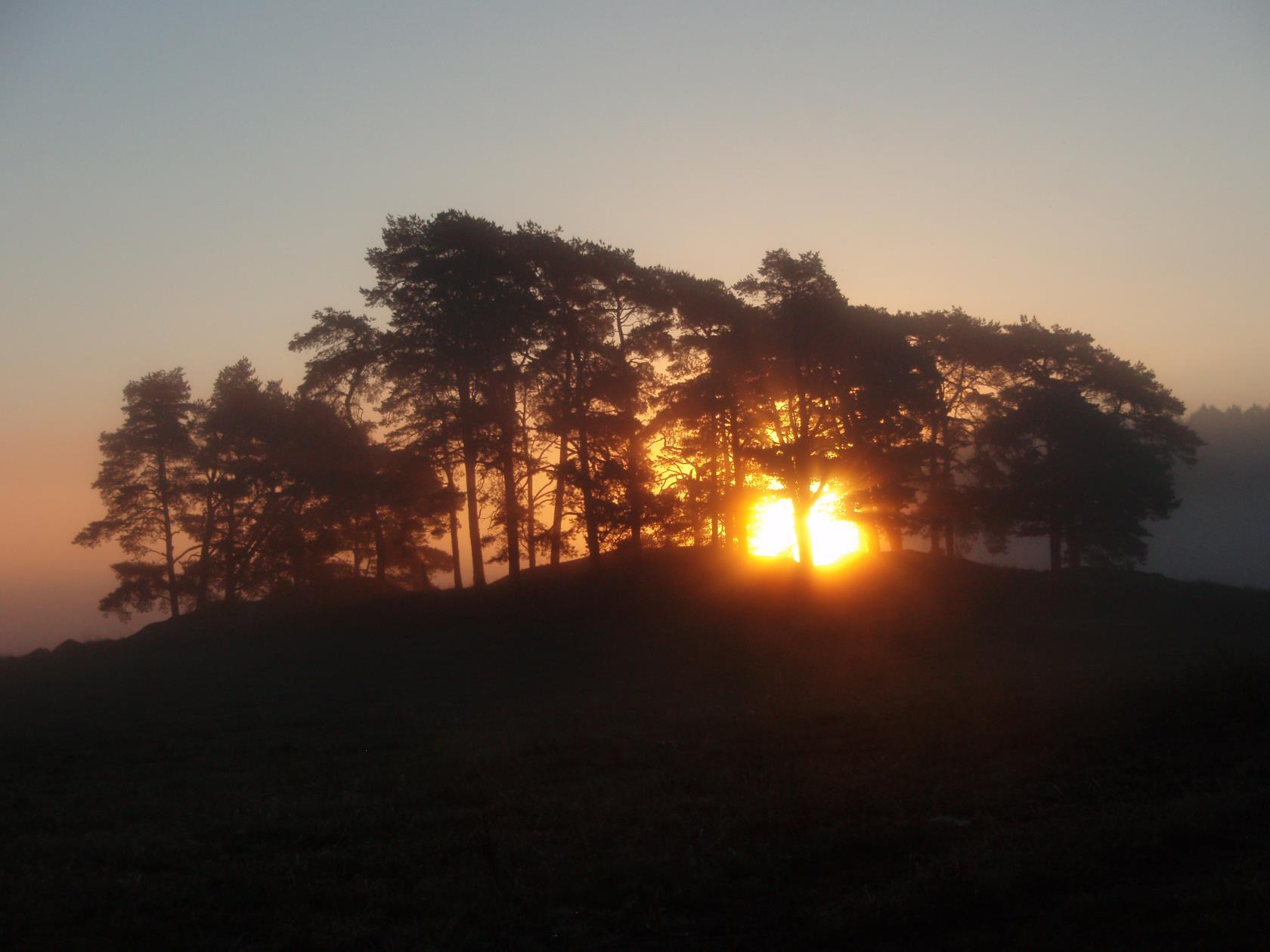 Du evigt strålande morgonsol.