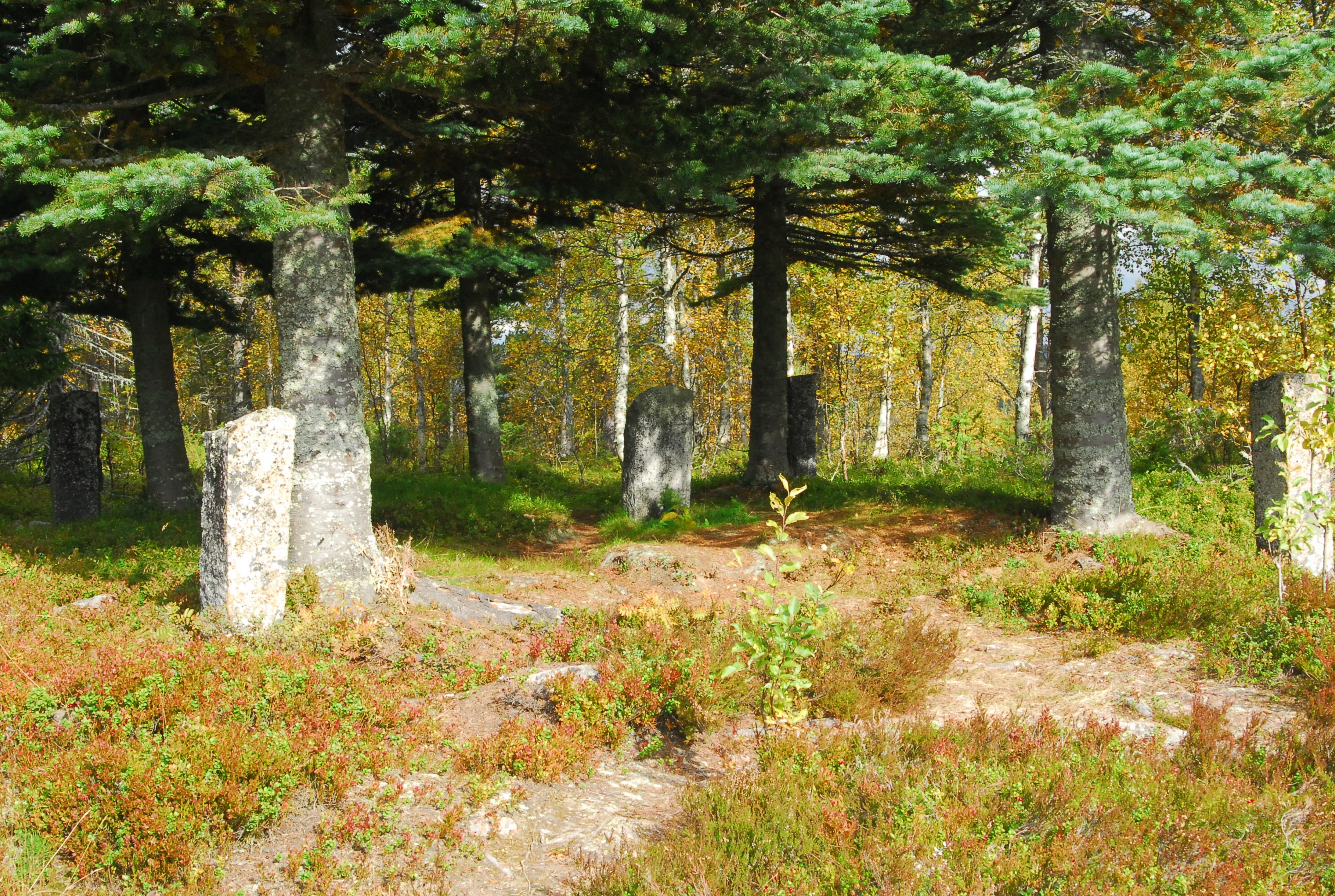 Begravningsplatsen på Finnberget. 