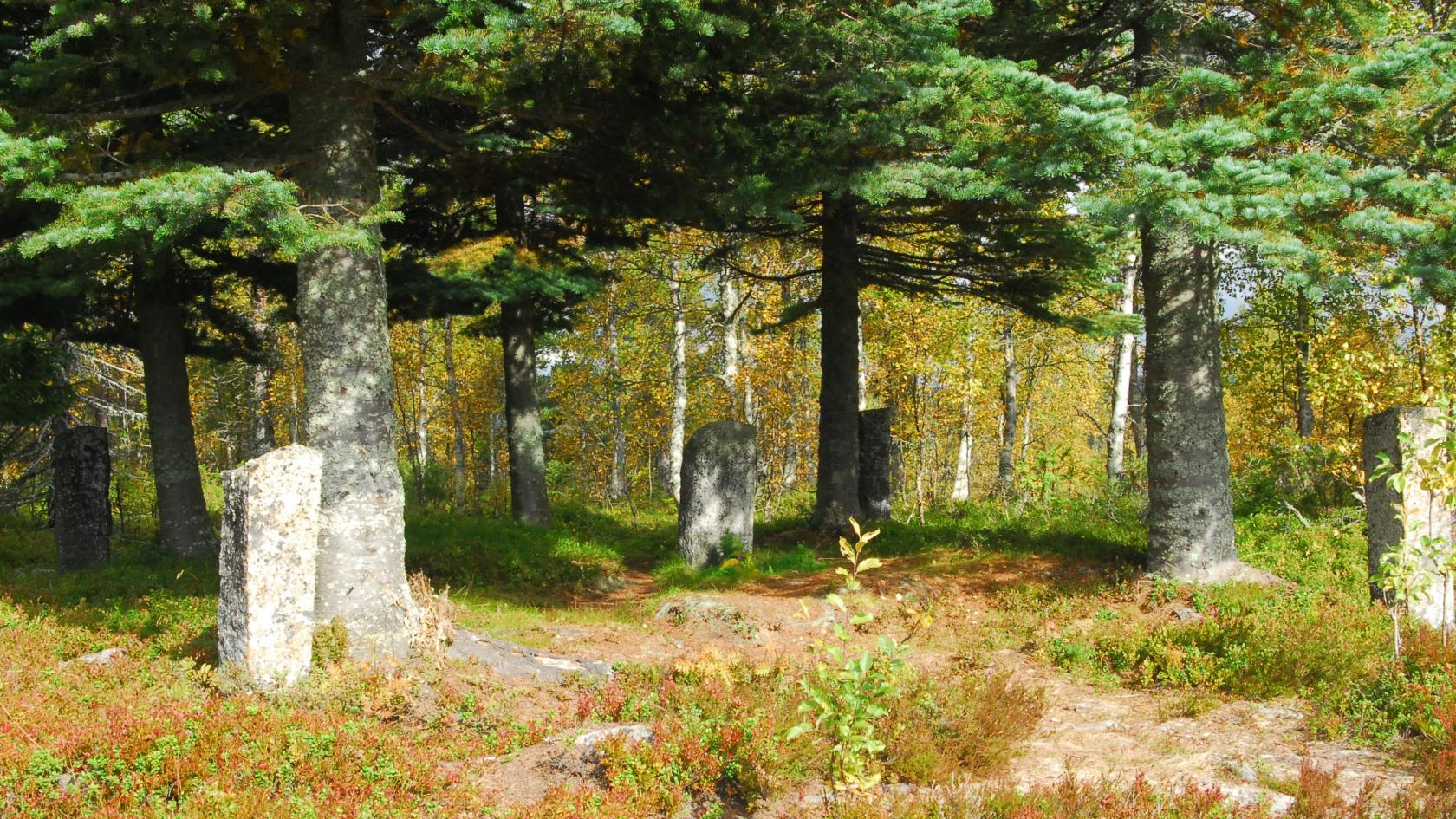Begravningsplatsen på Finnberget. 
