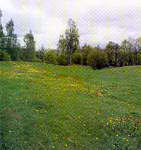 Naturreservat Strängnäs stift, Snavlunda äng