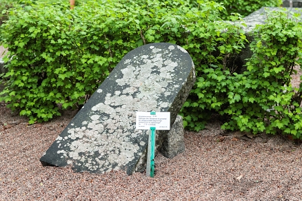 Gravrättsinnehavare sökes!