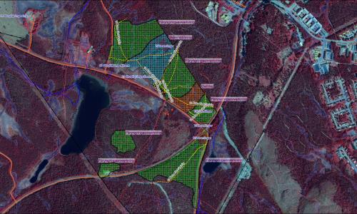De skogsbruksåtgärders som planerats för ett område på Tannberget i Lycksele har skapat stor oro hos Lyckseles befolkning. Då Lycksele kommun flaggat för ett eventuellt återköp väljer Luleå stift att avvakta med åtgärderna.