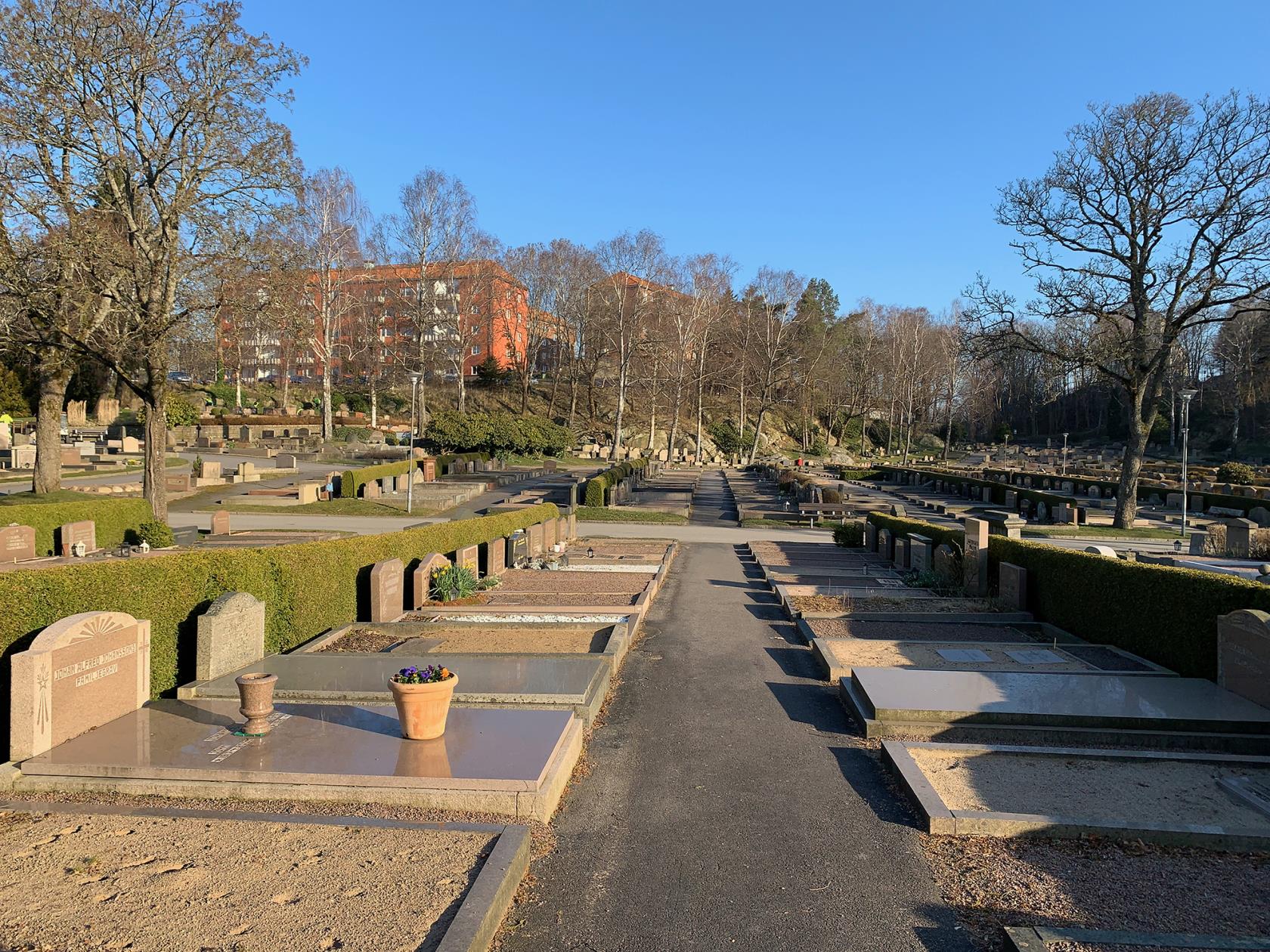 Örgryte nya kyrkogård i morgonljus, vy över gravar och med bostadshus i bakgrunden