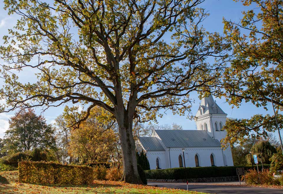 Stångby kyrka med höstträd utanför