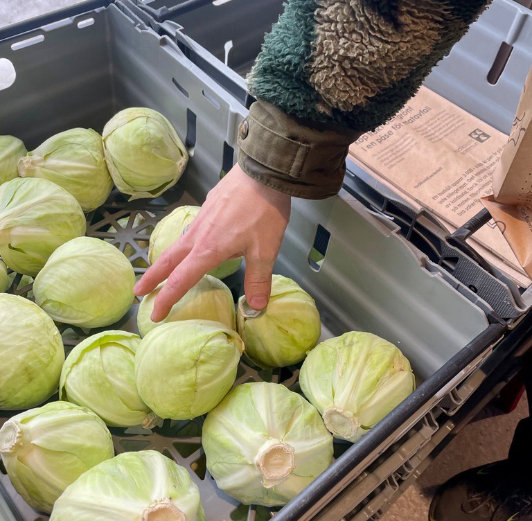 en hand tar ett kålhuvud