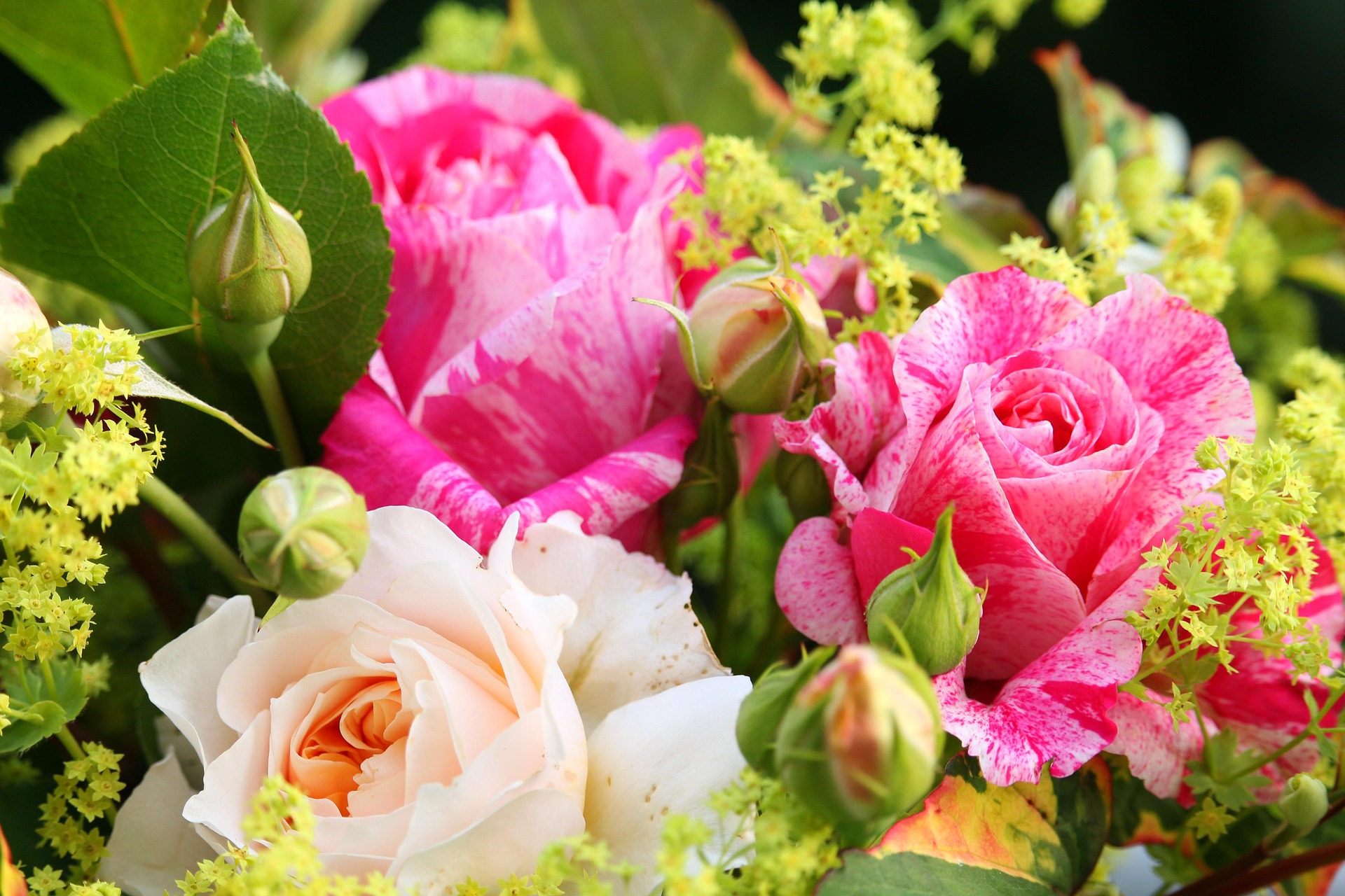 Blommornas fest