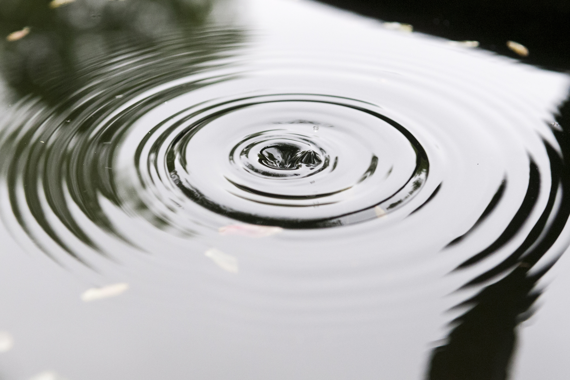 Vattendroppe når vattenyta.