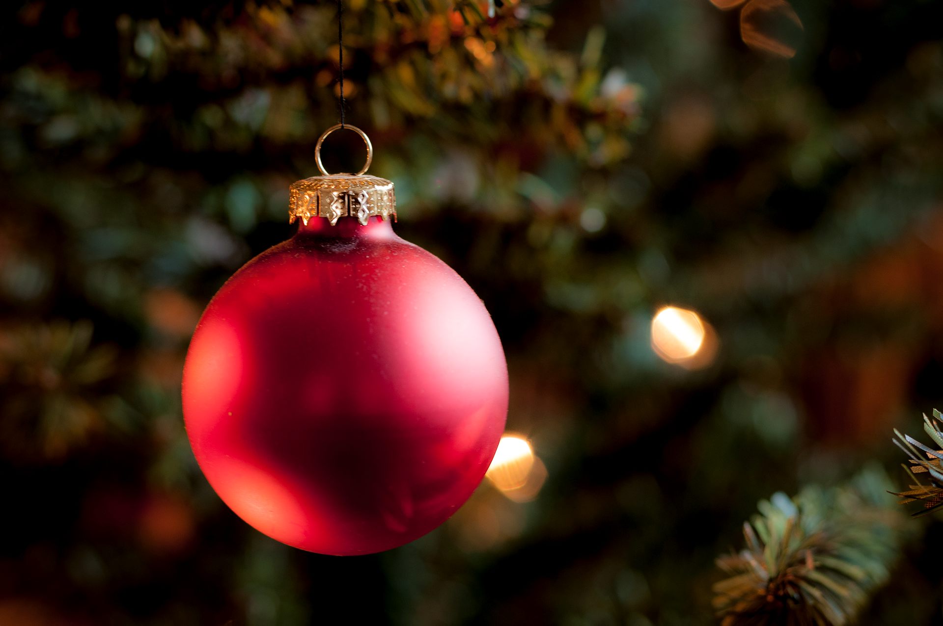 Röd julgranskula i en gran