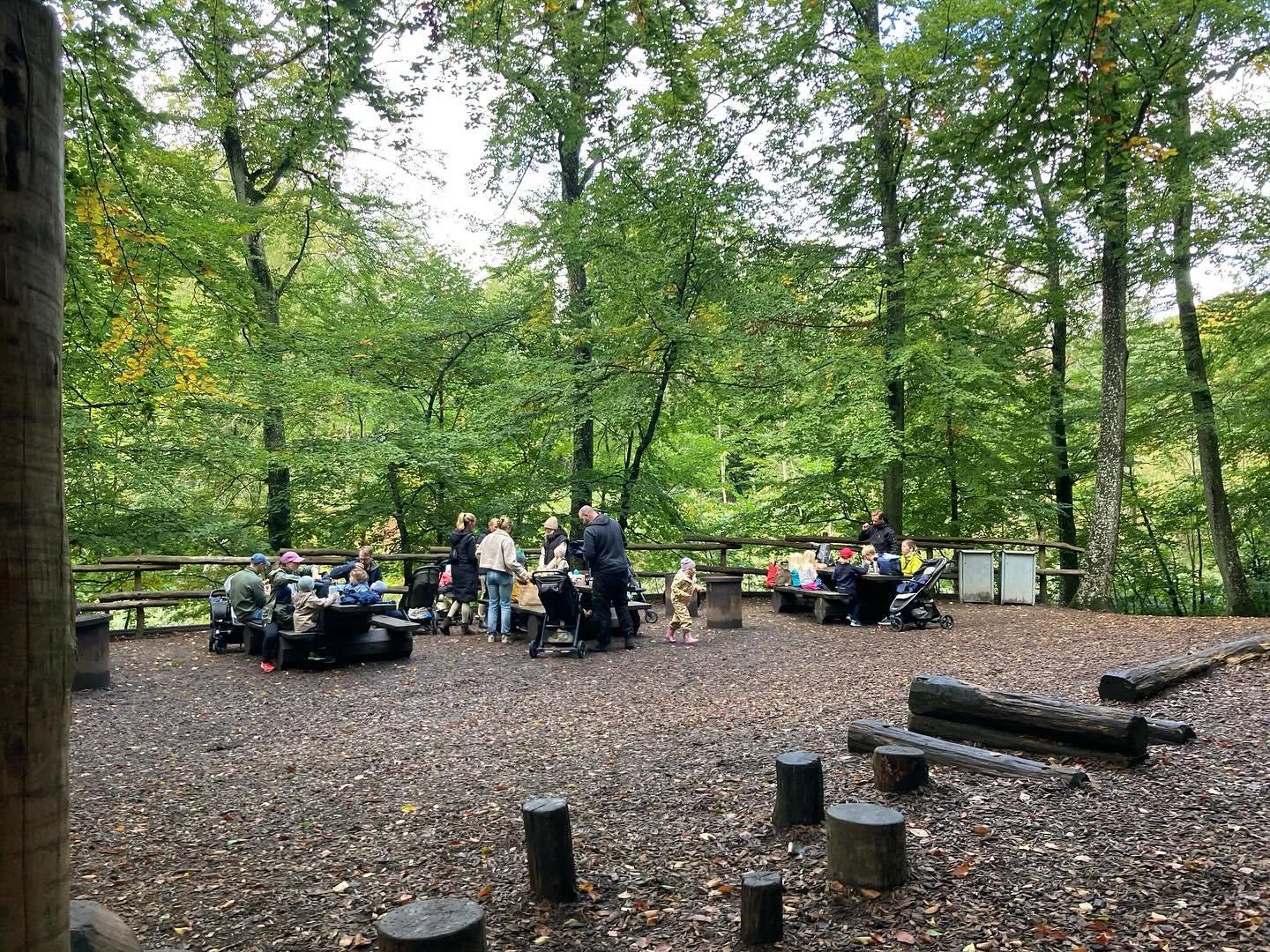 Bokskogen