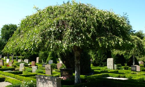 I Lomma finns det fyra kyrkogårdar. Dessa ligger samlade runt kyrkan, i norra delen av Lomma. Kyrkogårdarna har delvis olika karaktär och möjligheter till olika former av gravsättning.