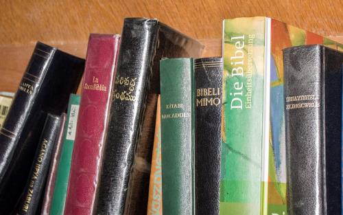 Bokryggar i en bokhylla. Bibeln på olika språk.