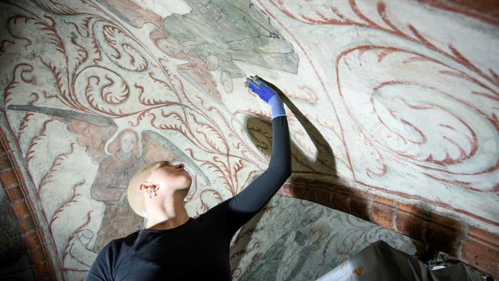 Albertus Pictors kalkmålning som föreställer änglar rengörs i Helga Trefaldighets kyrka i Uppsala.