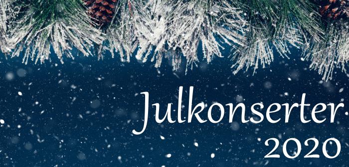 Se församlingens körers julkonserter!